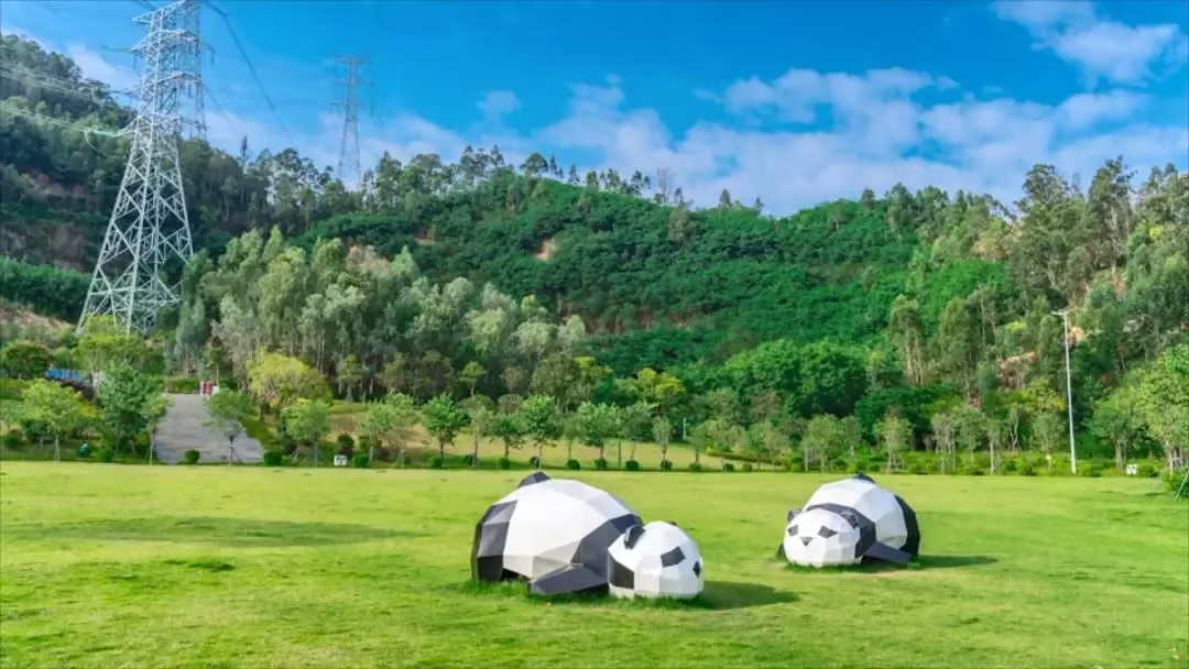 春日之約，享受自然之美